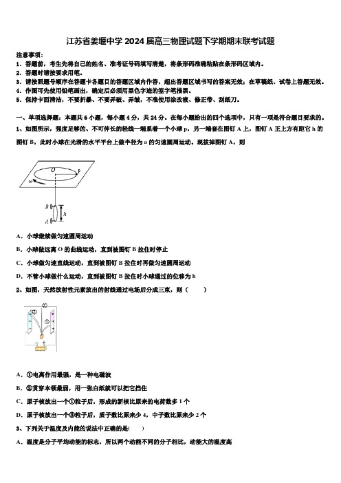 江苏省姜堰中学2024届高三物理试题下学期期末联考试题