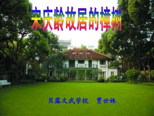 j 宋庆龄故居的樟树