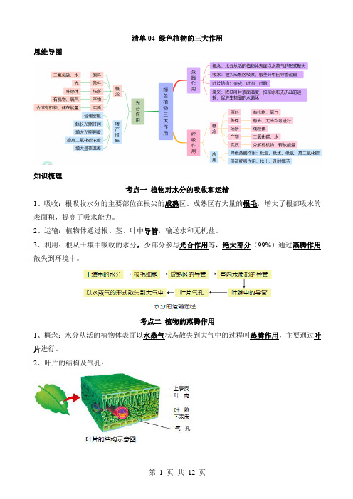 2024中考生物一轮复习知识清单04 绿色植物的三大作用(5大考点+5大高频命题点)