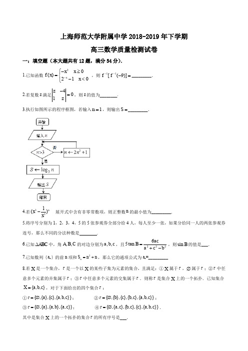 上海市上海师范大学附属中学2018-2019学年高三下学期质量检测数学试题含答案