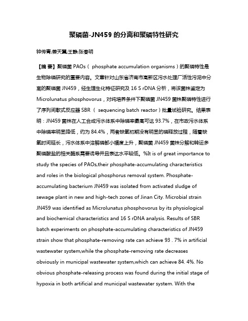 聚磷菌-JN459的分离和聚磷特性研究