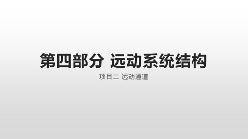 《铁道供电远动系统运行与维护》教学课件4.2远动通道