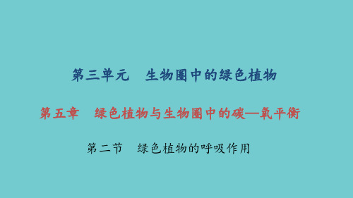 新人教版七年级生物上册第五章绿色植物与生物圈中的碳—氧平衡 第二节 绿色植物的呼吸作用课件