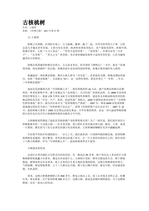 古核桃树