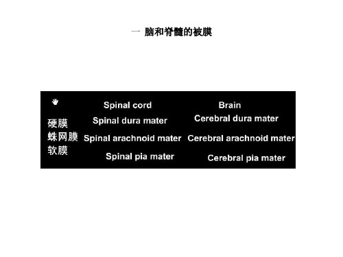 最新脑的血氧供应-PPT文档