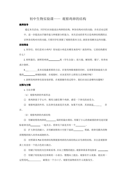 初中生物实验课——观察鸡卵的结构