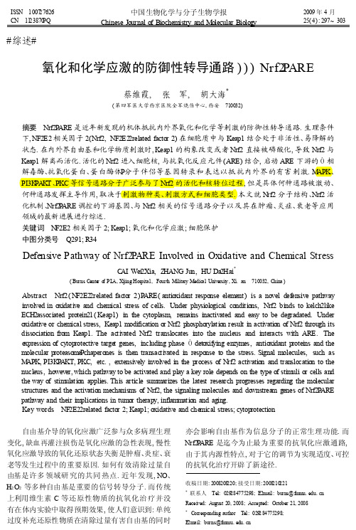 氧化和化学应激的防御性转导通路_Nrf2_ARE