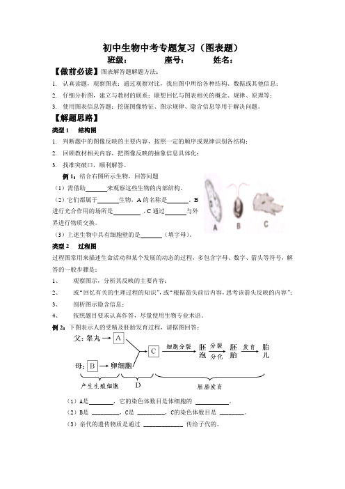 (精心整理)初中生物会考专题复习--图表题