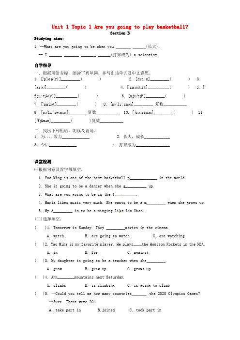 海南省国科园实验学校中学部八年级英语上册 Unit 1 Topic 1 I'm going to play basketball Section B