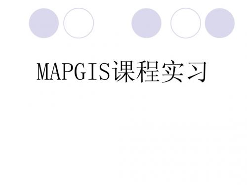 MAPGIS操作实习