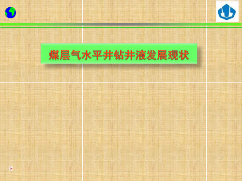 煤层气水平井钻井液发展现状