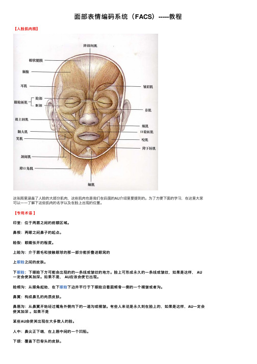 面部表情编码系统（FACS）-----教程