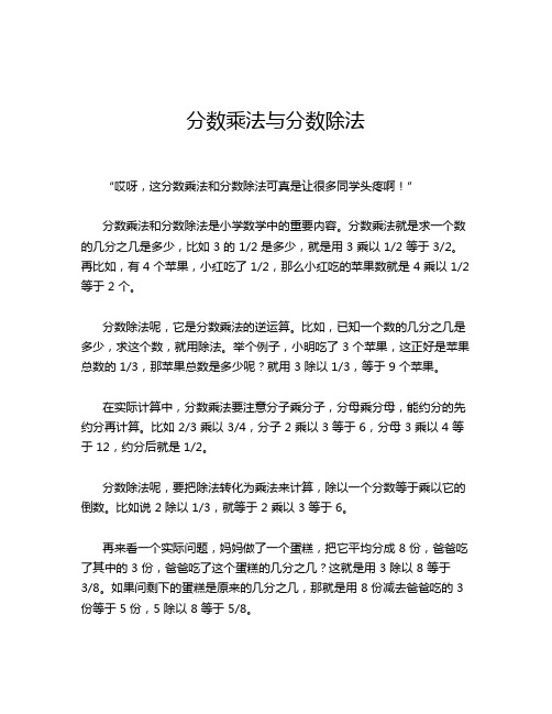 分数乘法与分数除法