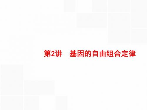 2017版高三生物苏教版一轮复习课件6.2基因的自由组合定律.ppt