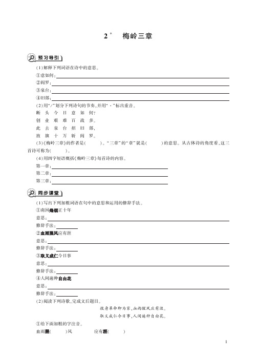 人教版语文九年级下册2梅岭三章同步练习.pdf