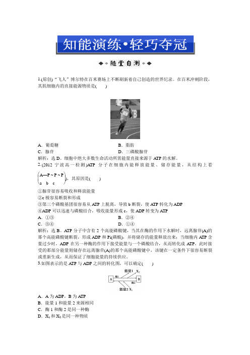 2013优化方案人教版生物必修1第五章第2节知能演练轻巧夺冠