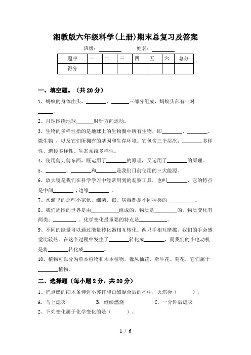 湘教版六年级科学(上册)期末总复习及答案