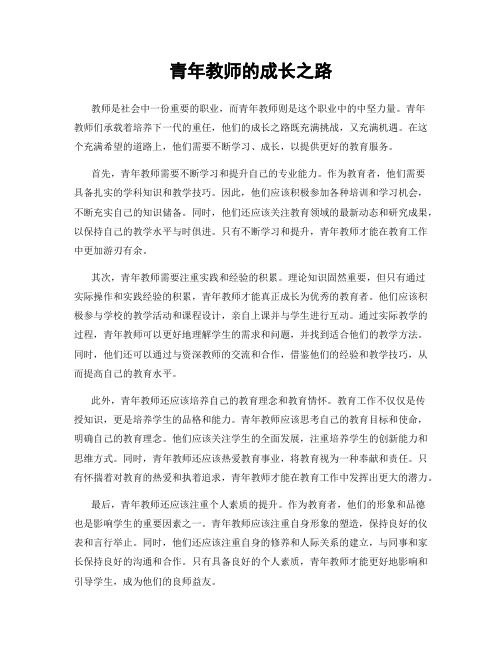 青年教师的成长之路