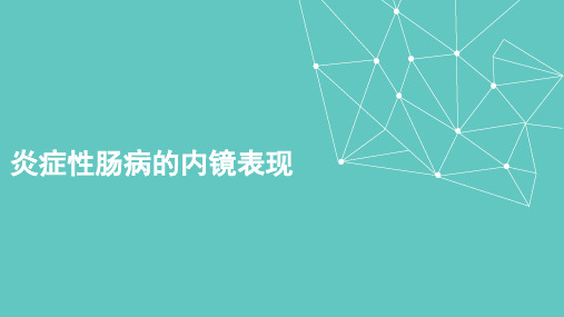 炎症性肠病的内镜表现ppt