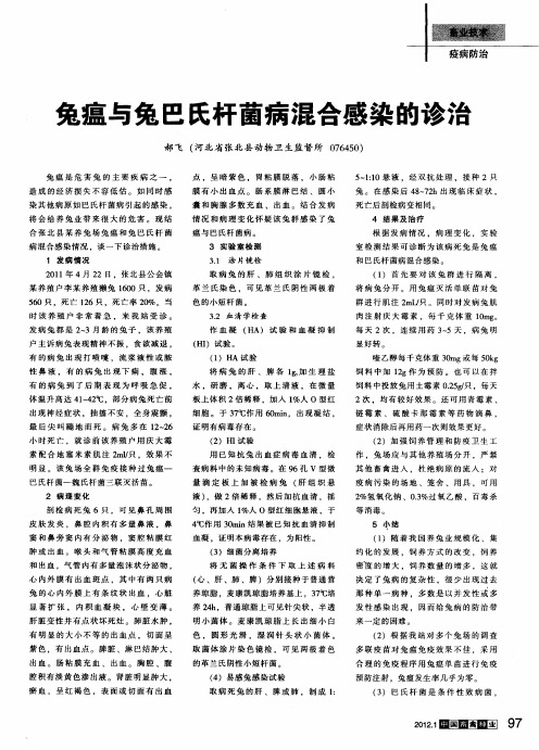 兔瘟与兔巴氏杆菌病混合感染的诊治