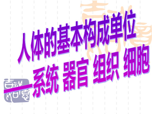 人体的基本构成单位系统器官组织细胞