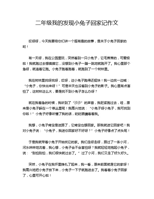 二年级我的发现小兔子回家记作文