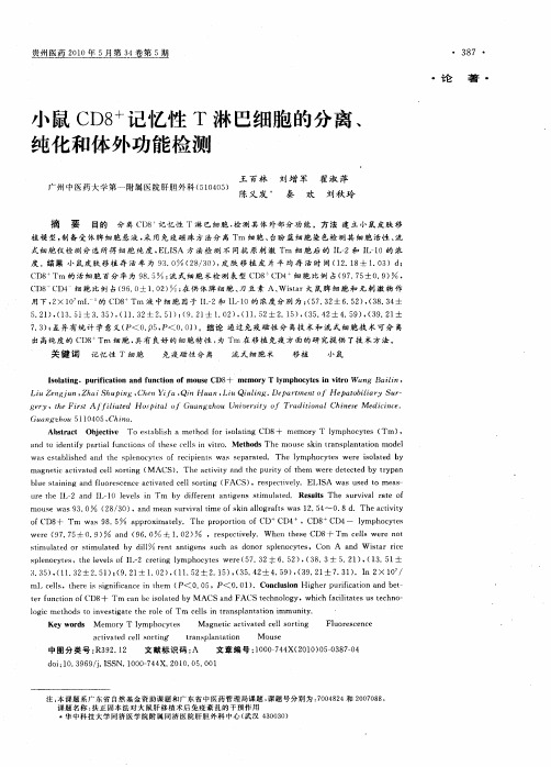 小鼠CD8+记忆性T淋巴细胞的分离、纯化和体外功能检测