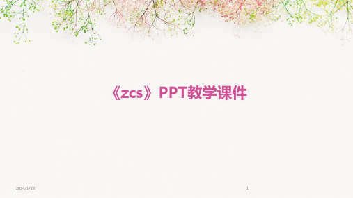 《zcs》PPT教学课件