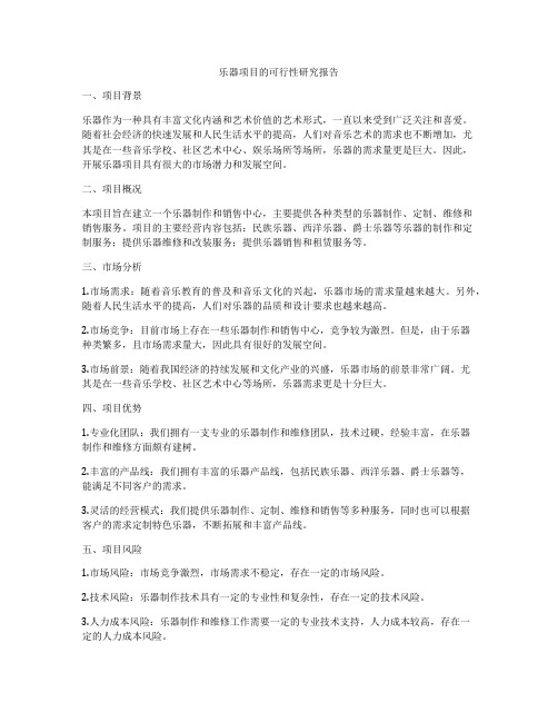 乐器项目的可行性研究报告