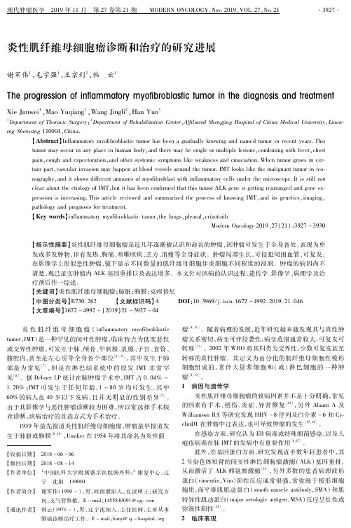 炎性肌纤维母细胞瘤诊断和治疗的研究进展