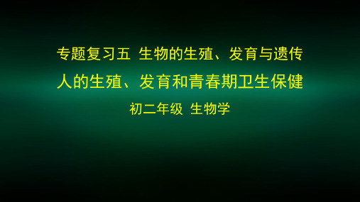 初二生物(人教版)-专题复习五-生物的生殖发育与遗传-人的生殖、发育和青春期卫生保健