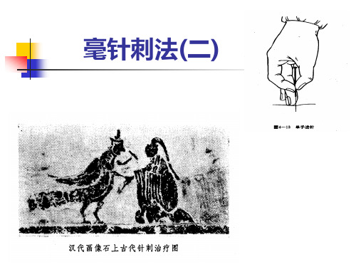 燕山大学生物医学专业针灸04第二章毫针刺法2