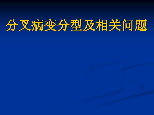 分叉病变分型精品PPT课件