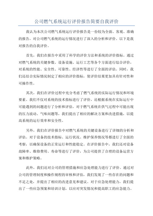 公司燃气系统运行评价报告简要自我评价