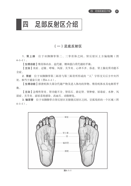 耳手足反射区按摩治病四足部反射区介绍