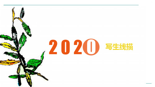 2024年线描6岁-9岁《轮滑鞋》-美术课件