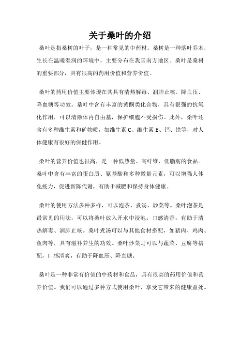 关于桑叶的介绍