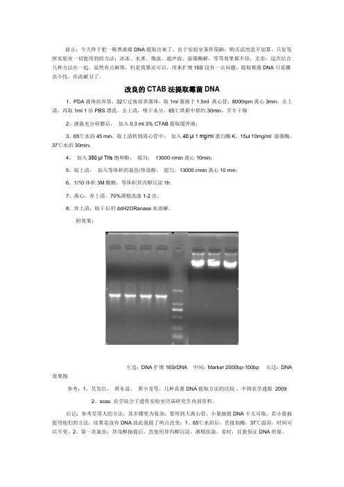 改良的CTAB法提取霉菌DNA