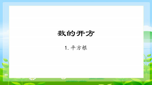 11.1.1平方根  课件(共13张PPT)  华师大版数学八年级上册