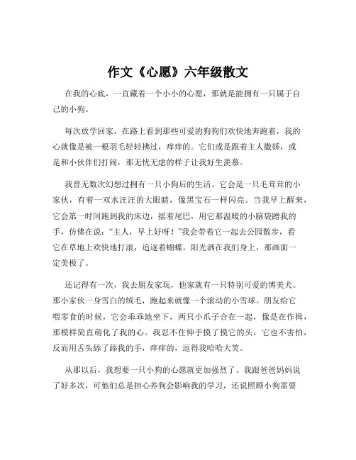 作文《心愿》六年级散文