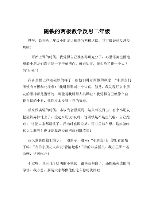 磁铁的两极教学反思二年级