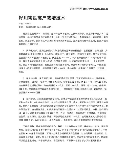 籽用南瓜高产栽培技术