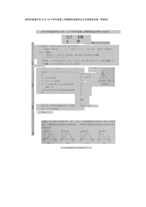 贵阳市普通中学2018-2019学年度第二学期期末监测考试七年级数学试卷(带答案)