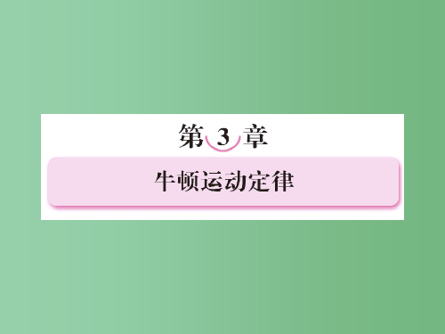 高考物理第一轮总复习 牛顿运动定律课件