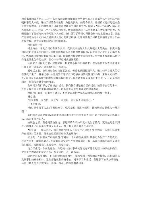 热电公司新员工培训心得总结.docx