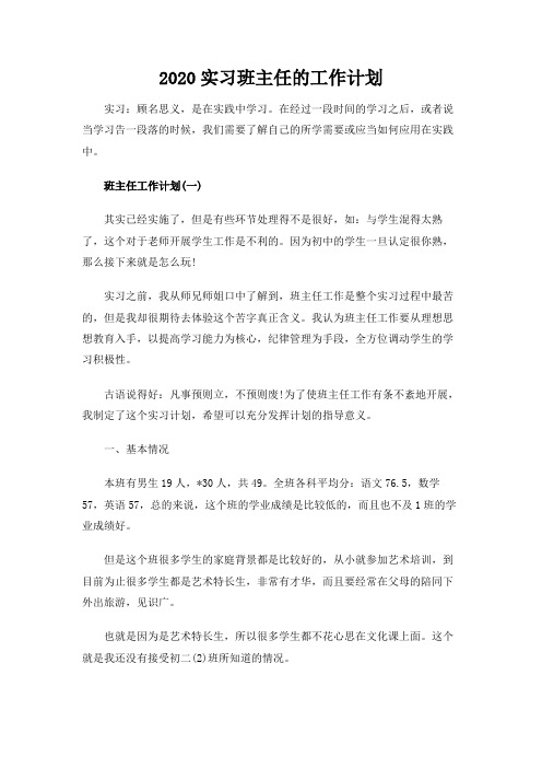 2020实习班主任的工作计划