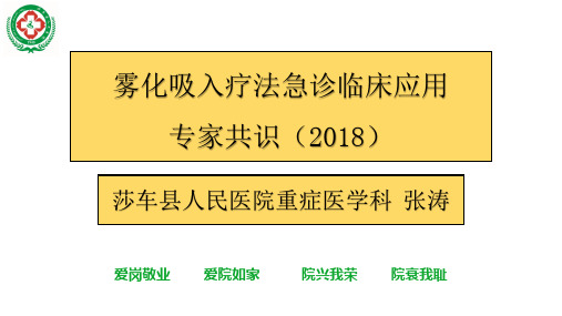 雾化吸入疗法专家共识