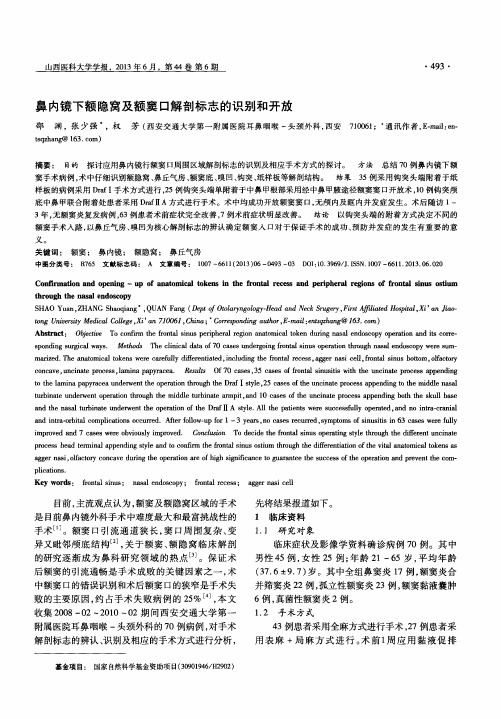 鼻内镜下额隐窝及额窦口解剖标志的识别和开放