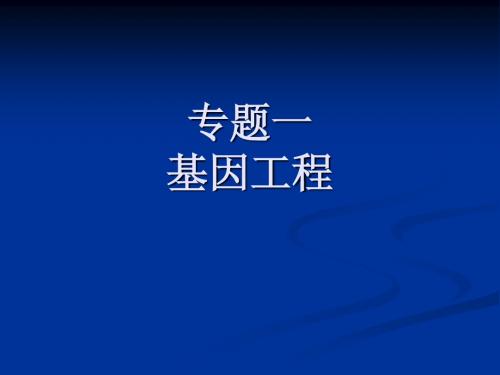 人教版教学课件2007广东生物高三课件基因工程