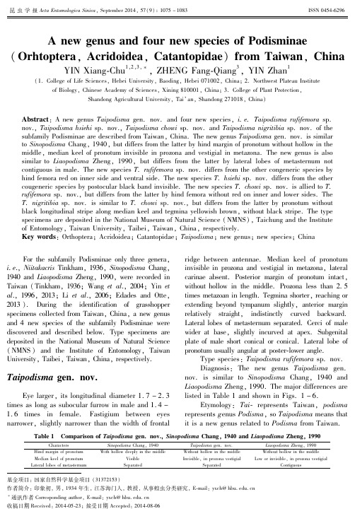 中国台湾秃蝗亚科一新属四新种（直翅目，斑腿蝗科）（英文）